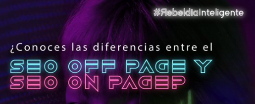 seo onpage y offpage